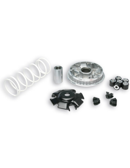 Variateur MALOSSI Multivar 2000