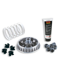 Variateur MALOSSI Multivar 2000 - Peugeot 2