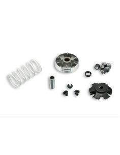 Variateur MALOSSI Multivar 2000