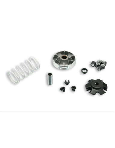 Variateur MALOSSI Multivar 2000