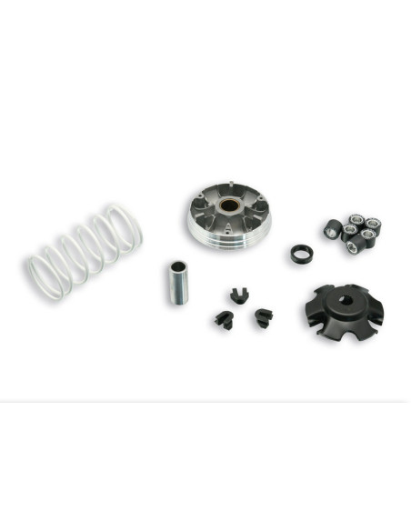 Variateur MALOSSI Multivar 2000