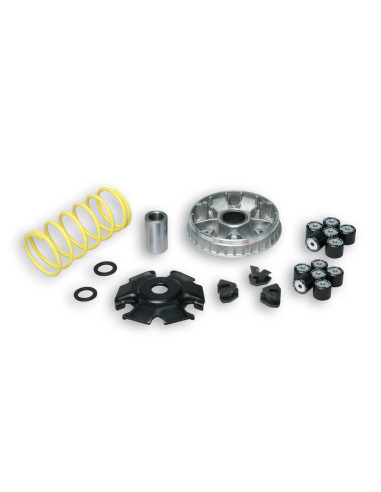 Variateur MALOSSI Multivar 2000