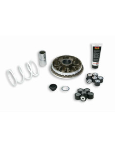 Variateur MALOSSI Multivar 2000 Honda