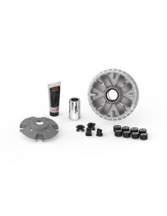 Variateur MALOSSI Multivar 2000 - Yamaha Xmax 300 2