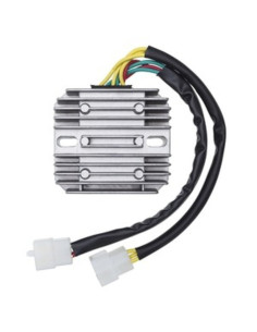 Régulateur TECNIUM by DZE 2