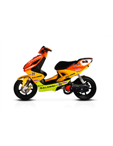 Couvercle de filtre à air MALOSSI vis incluses