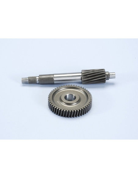 Courroie de transmission POLINI standard