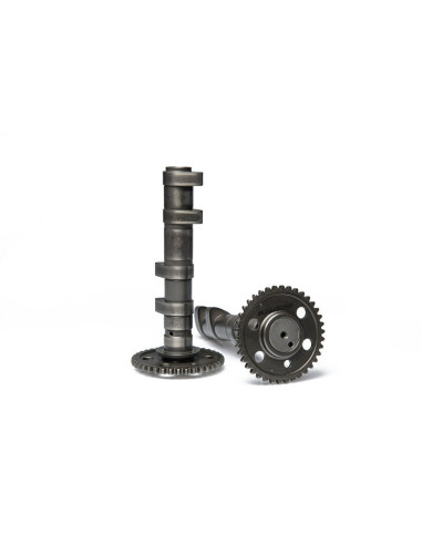 Arbre à cames MALOSSI Power Cam