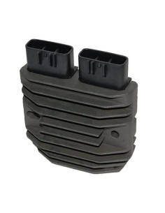 ELECTROSPORT Regulator 2