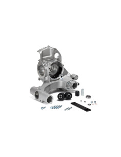 Carter moteur MALOSSI 2