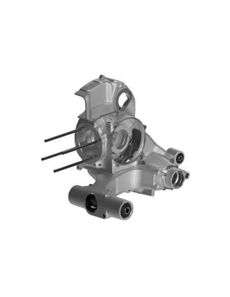 Carter moteur MALOSSI