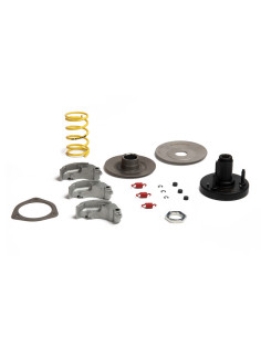 Embrayage centrifuge MALOSSI Fly System 2