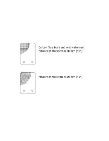 Clapet MALOSSI VL13 pétale carbone 0,30mm 45°