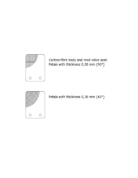 Clapet MALOSSI VL14 pétale carbone 0,30mm 45°