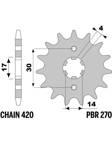 Pignon PBR acier standard 270- 420