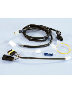 Connecteur/faisceau de câbles POLINI