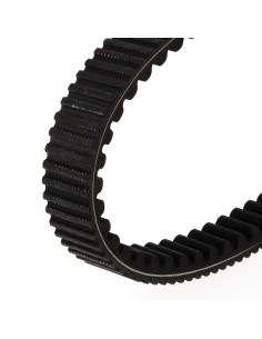 TECNIUM Courroie CVT EliteGrip