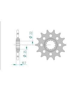 Pignon AFAM pour moto au pas de 520