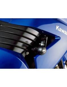 Protection moteur PUIG R12...