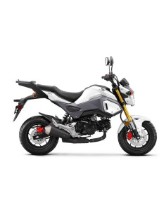 Porte paquet Shad Top Master HONDA MSX 125 2017 2018 2