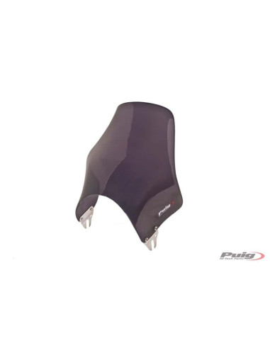 Pare brise PUIG Naked fumé