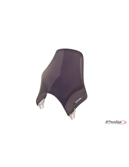 Pare brise PUIG Naked fumé