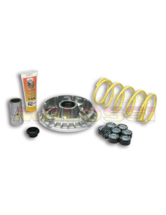 Variateur Malossi Multivar Suzuki Burgman 400