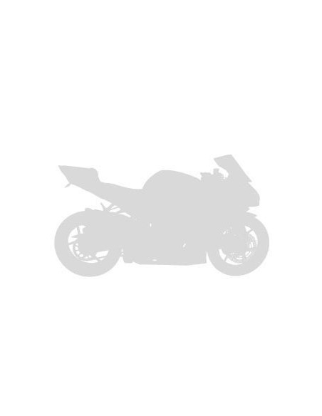 BULLE ERMAX HAUTE PROTECTION + 10 CM POUR DL 1000 V STROM 2002/2003