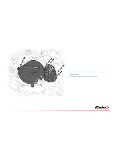 Kit protection carter PUIG pour KAWASAKI Z1000 montage gauche