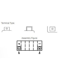 Batterie moto YUASA YTZ10S 2