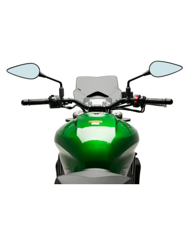 Saute vent Naked new generation sport BENELLI BN 752S vue pilote