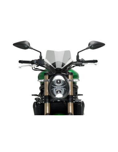 Saute vent Naked new generation sport BENELLI BN 752S face