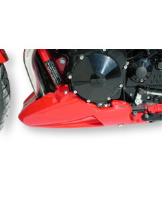 Sabot moteur ERMAX pour SUZUKI 650 Bandit N/S 2005 2006