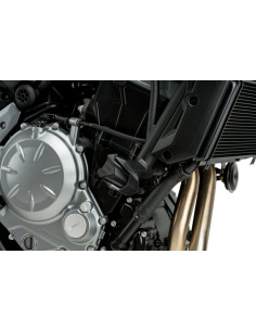 Protection moteur PUIG R19...