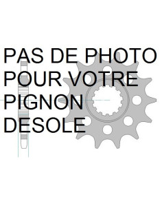 Pignon AFAM pour moto au pas de 520