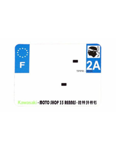 Plaques Françaises PPI 210x130 SIV Département 91 PVC 10 pièces