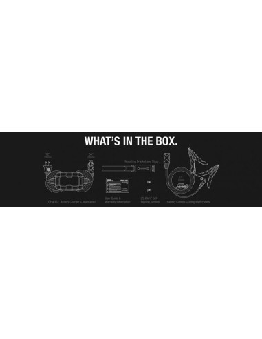 Chargeur de batterie intelligent montage avec pinces NOCO Genius2 6/12V 2A