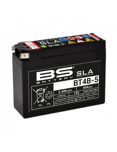 Batterie BS BATTERY SLA sans entretien activé usine - BT4B-5