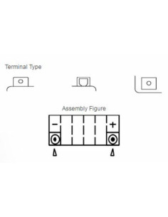Batterie YUASA W/C sans entretien activé usine - YTZ5S 2