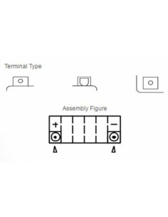 Batterie YUASA Sans entretien avec pack acide - YTX12-BS 2
