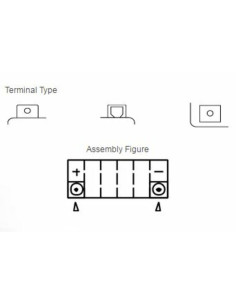 Batterie YUASA Sans entretien avec pack acide - YTX14-BS 2