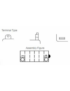 Batterie YUASA conventionnelle sans pack acide - YB10L-B 2