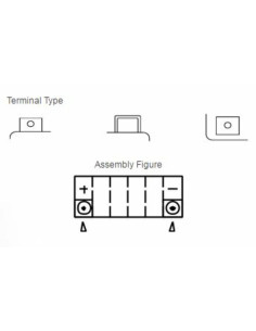 Batterie YUASA W/C sans entretien activé usine - YTZ12S 2