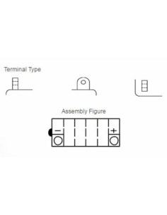 Batterie YUASA conventionnelle sans pack acide - Y60-N24L-A 2