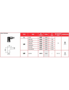 Anti-parasite NGK - LB10EH 2
