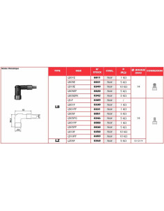 Anti-parasite NGK - LB05EPK 2