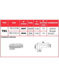 Anti-parasite NGK Jaune - TRS1233B 2