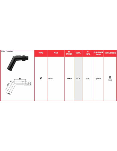 Anti-parasite NGK - V05E